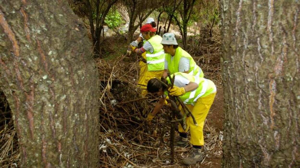 Abierto plazo para pedir ayudas contratación limpieza y restauración terrenos