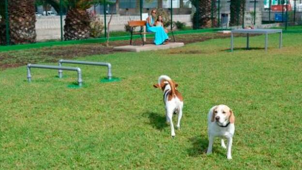 Exhibiciones caninas y pasarela de adopción en la Feria Amigo Can LPGC