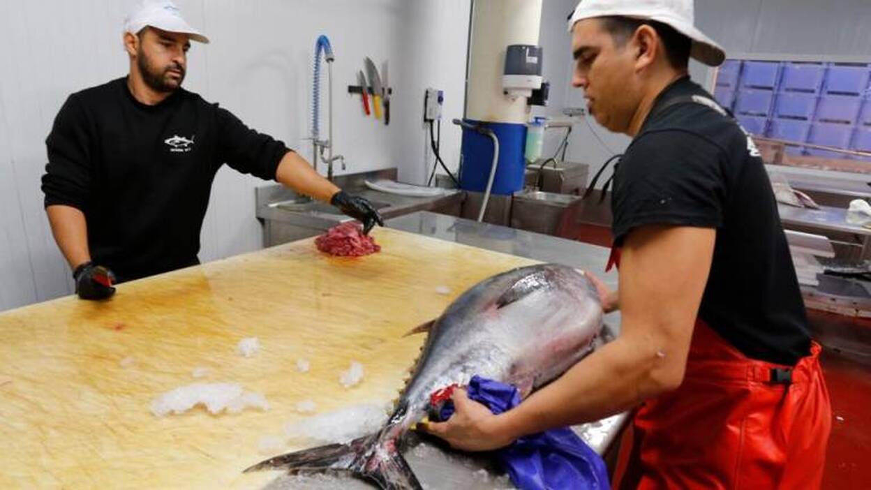 Menos inscritos en la Seguridad Social