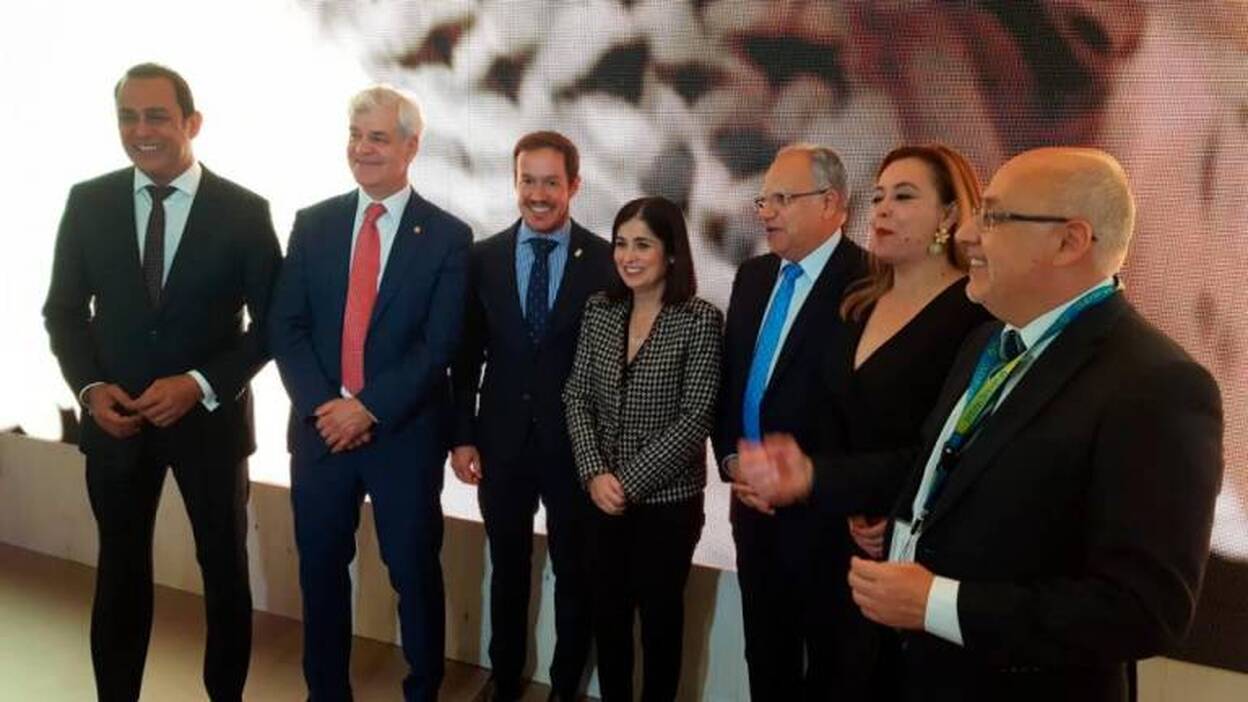 Los cabildos valoran los retos de las islas como destino