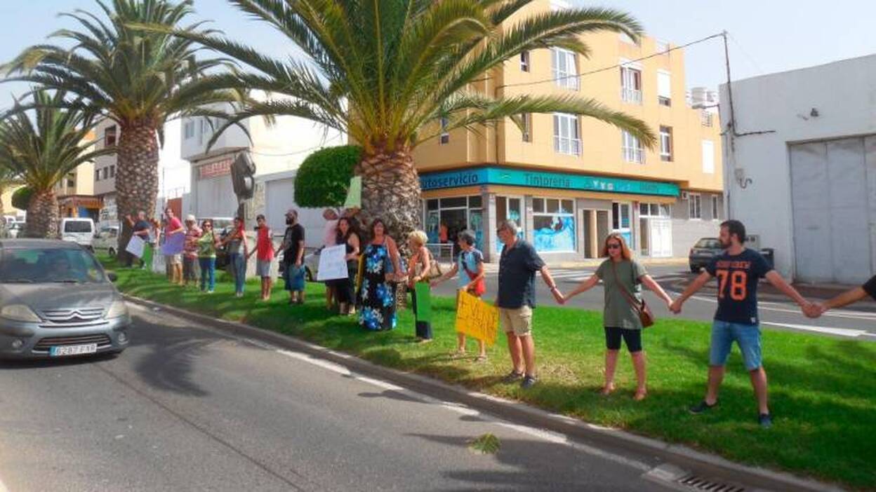 La capital «desecha» el proyecto que implicaba el trasplante de palmeras