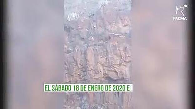 Denuncian la muerte cruel de las cabras en las apañadas