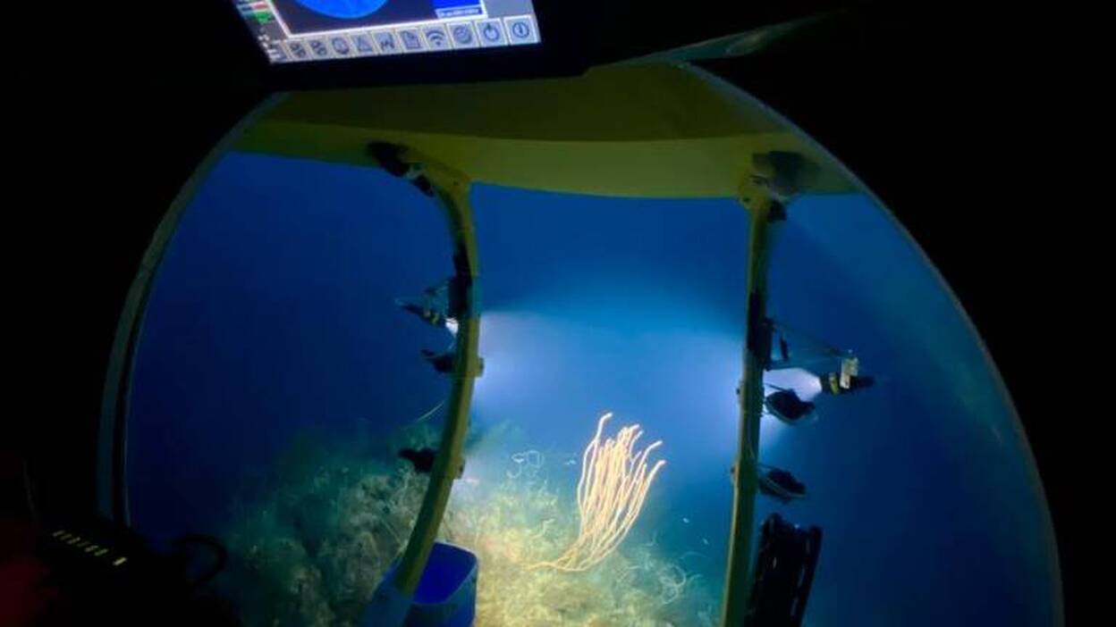 Plocan mapea en alta definición el fondo marino del banco de ensayos