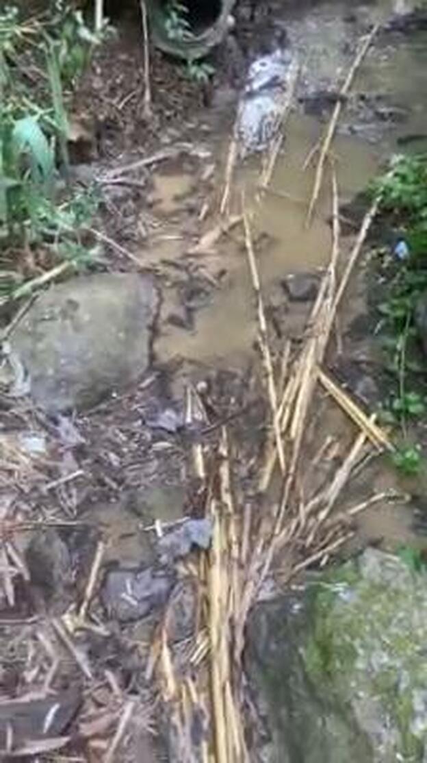 Denuncian vertidos de aguas fecales en Santa Brígida