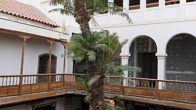 Vista del árbol singular sin las hojas secas. / Fotos:  Marco Díaz-Bertrana