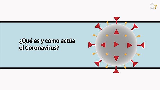 ¿Qué es y cómo actúa el coronavirus?