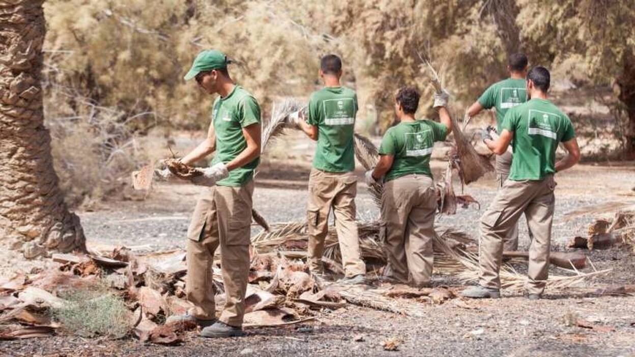 El Cabildo financia 500 contratos a los 21 municipios