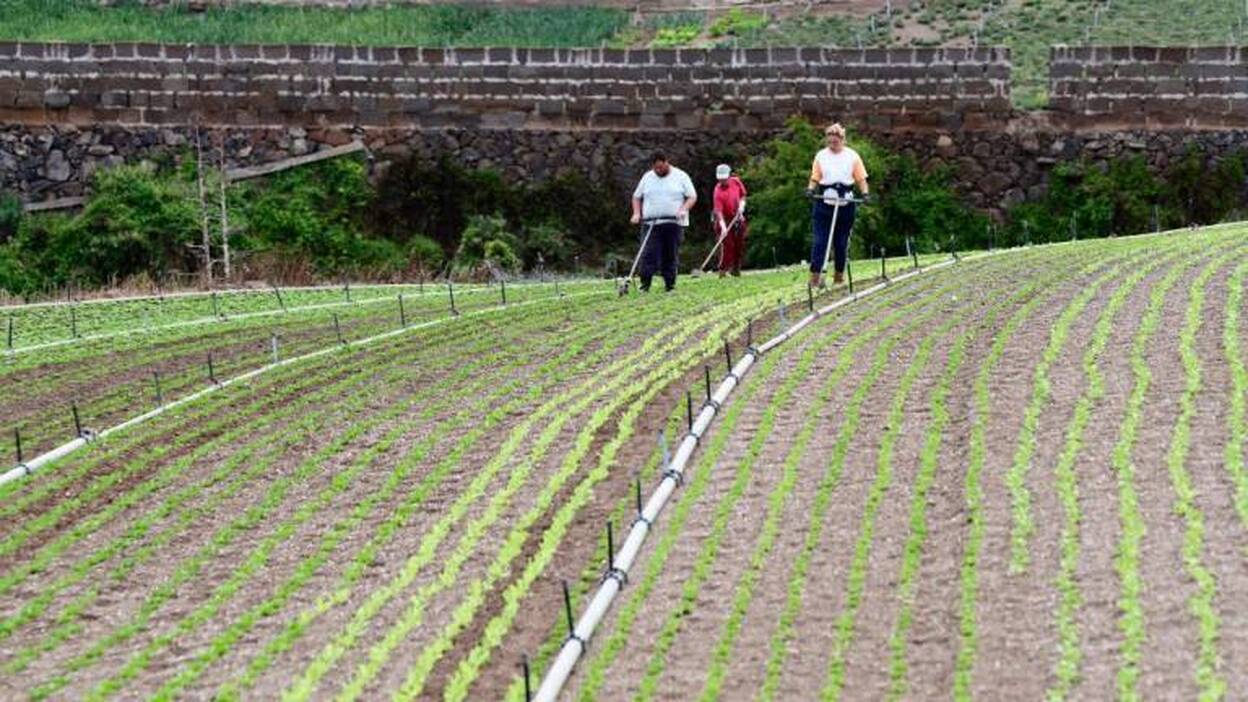 174.877 trabajadores extranjeros menos en la segunda mitad de marzo