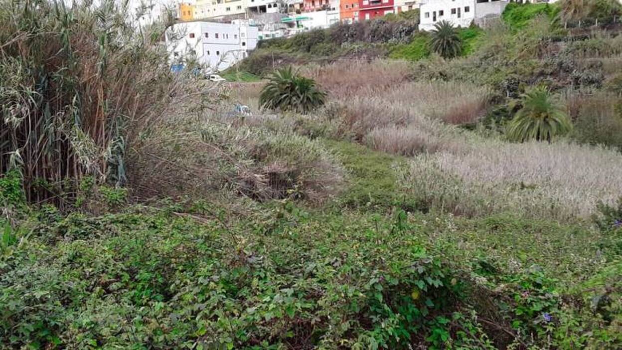 Un cortafuegos en 536 hectáreas agrícolas abandonadas