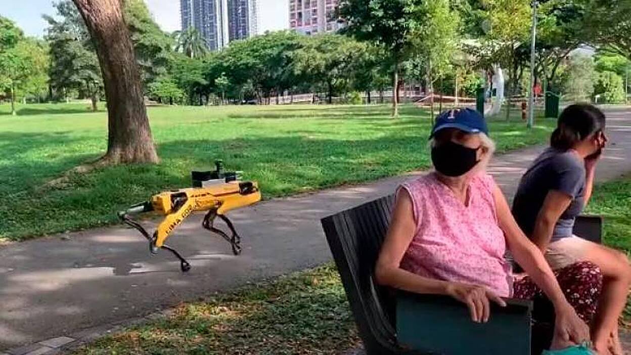 Un perro robótico para mantener las distancias de seguridad