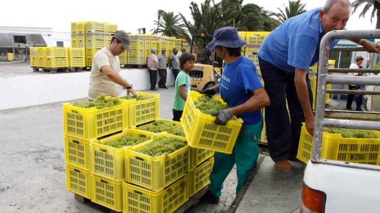 Vino de 1881 a favor de Cruz Roja