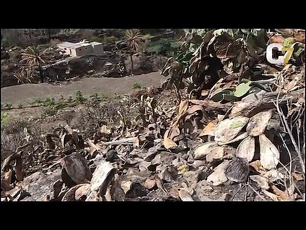 Tasarte, aún más aislada