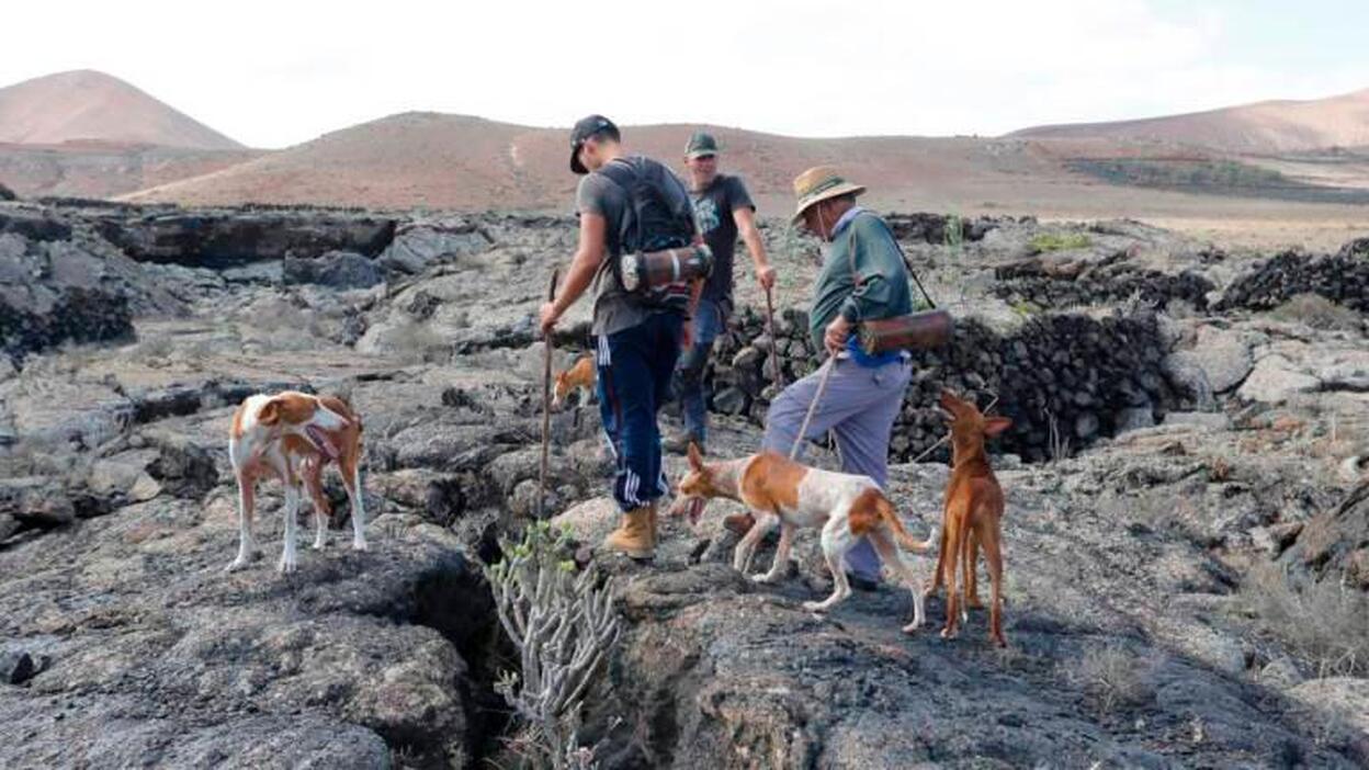 Piden el test psicotécnico y de drogas para los cazadores
