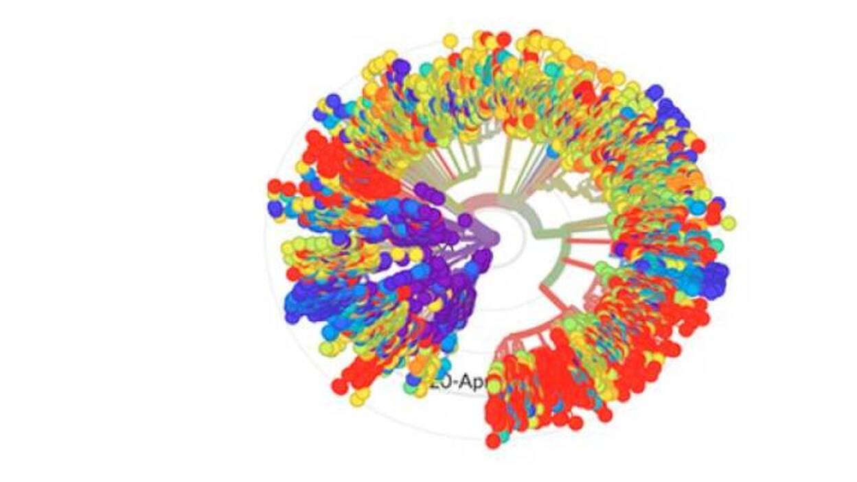 ¿Que seamos más o menos vulnerables a la Covid-19 depende de nuestros genes?