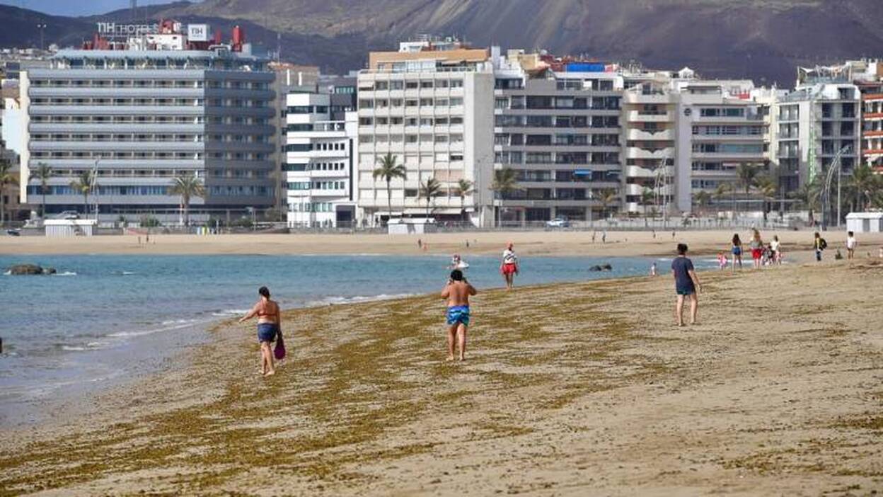 Hamacas desinfectadas, tras cada uso