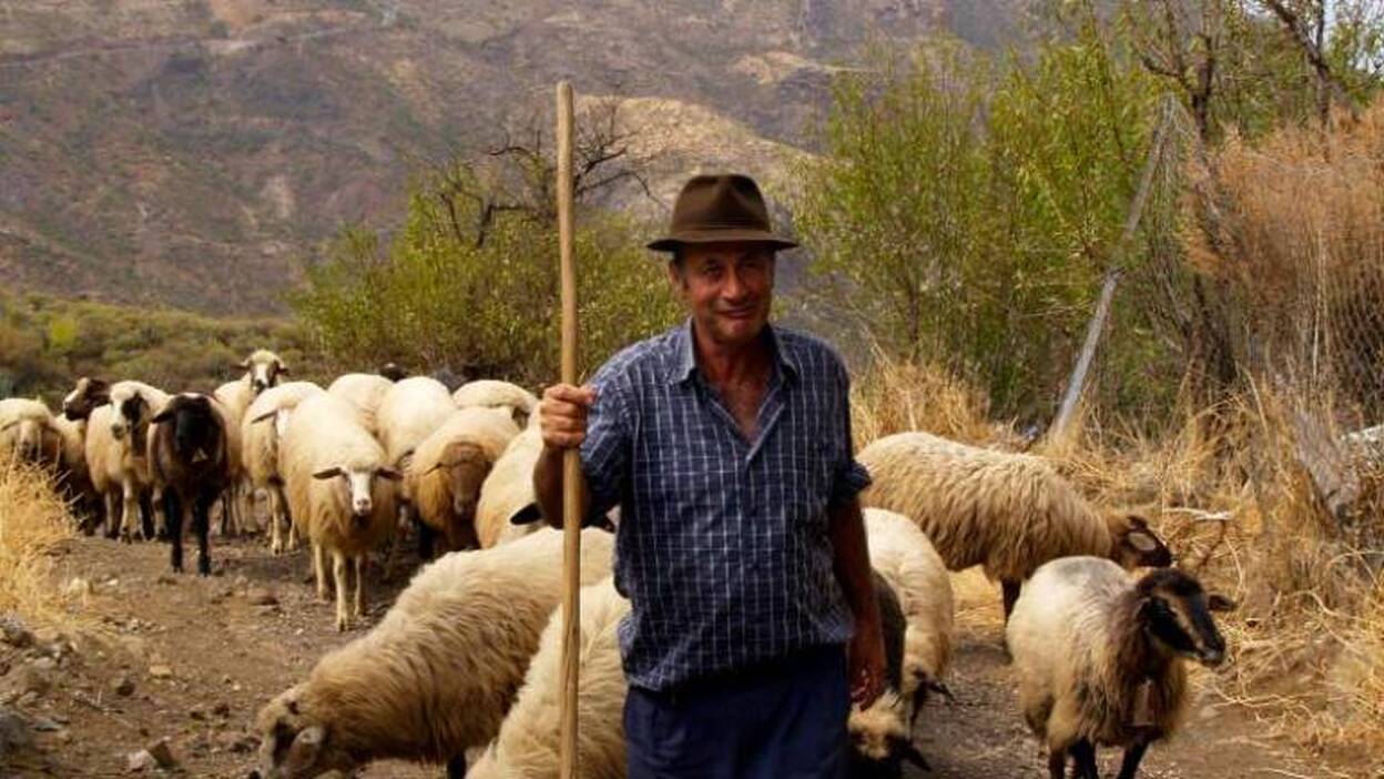 Bastan tres mil palabras