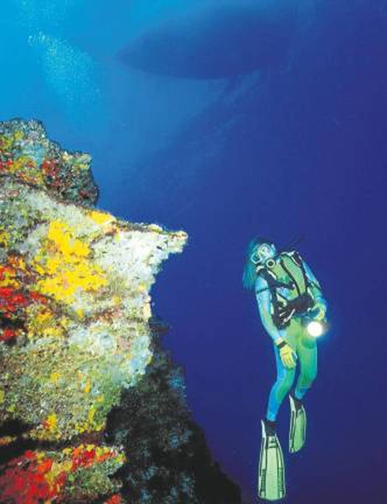 Belleza en la superficie y bajo el océano