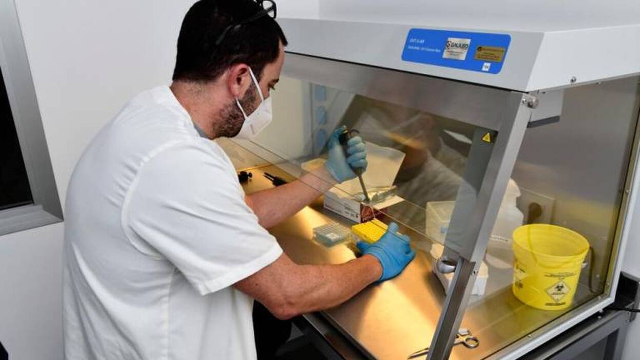 Auditorías para blindarse ante la covid-19