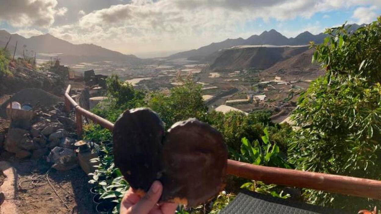 Una palmera de hojaldre que viaja por toda la isla Gran Canaria, un  éxito empresarial
