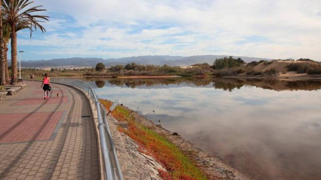 Un conflicto entre la naturaleza y el desarrollo turístico de Gran Canaria