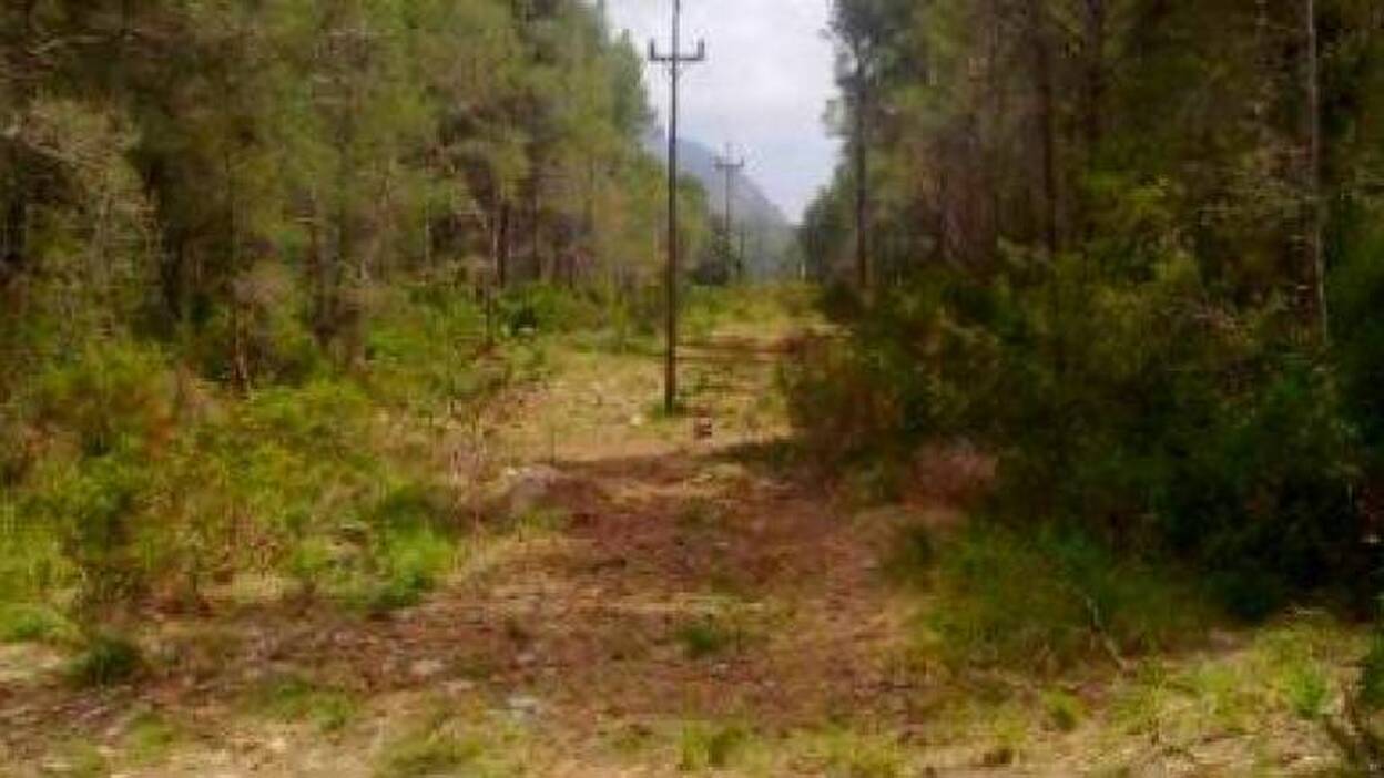 5,9 millones para conservar la red eléctrica en el campo