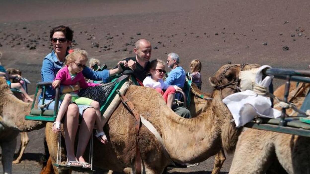 Medidas para ayudar a los camelleros