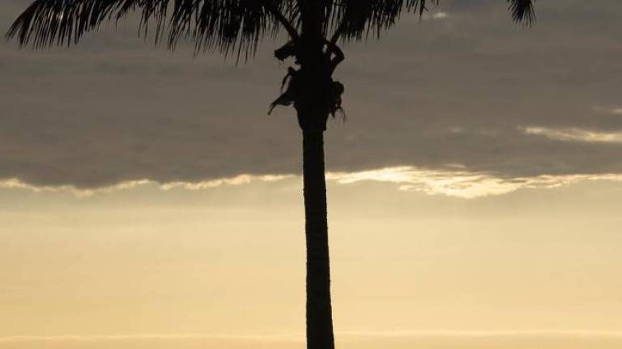 En la playa de la luz y la vida