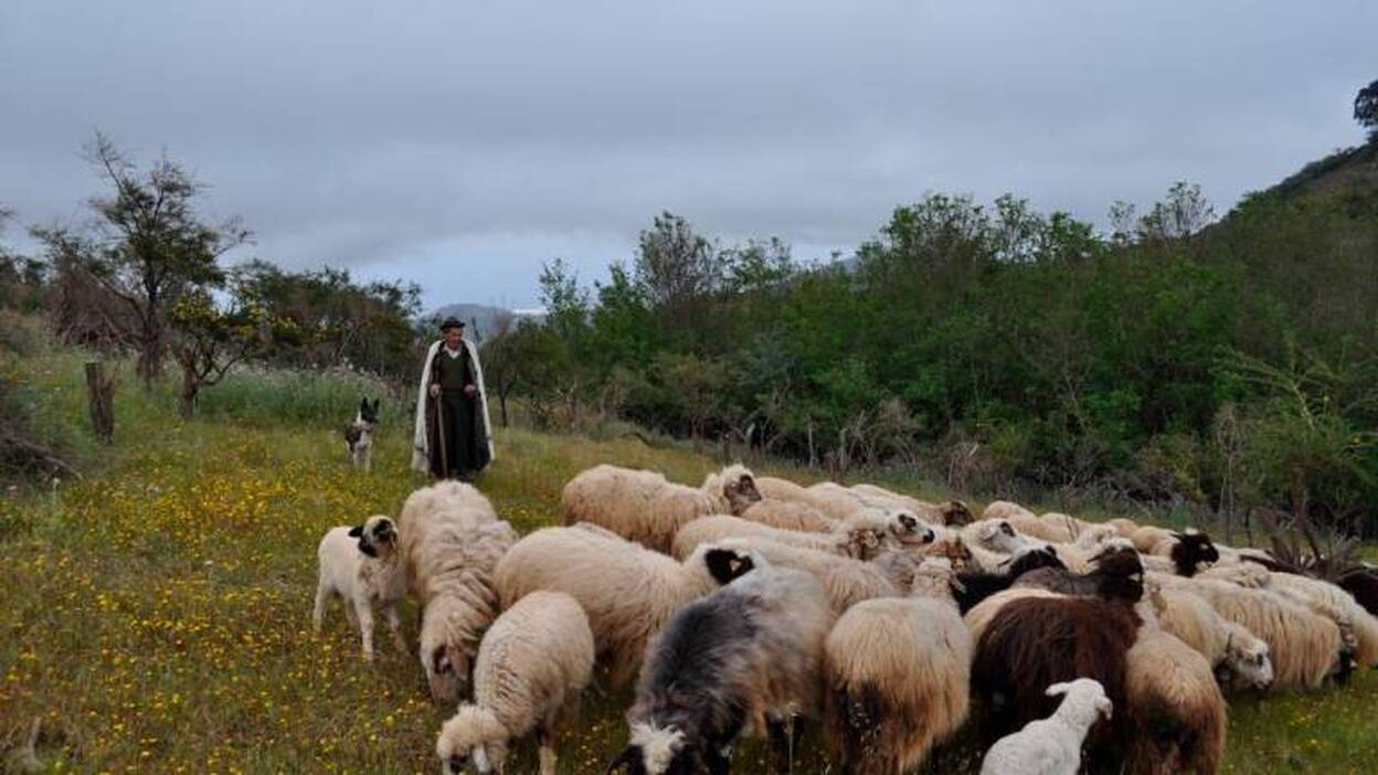 Fontanales, sabor a queso y verde
