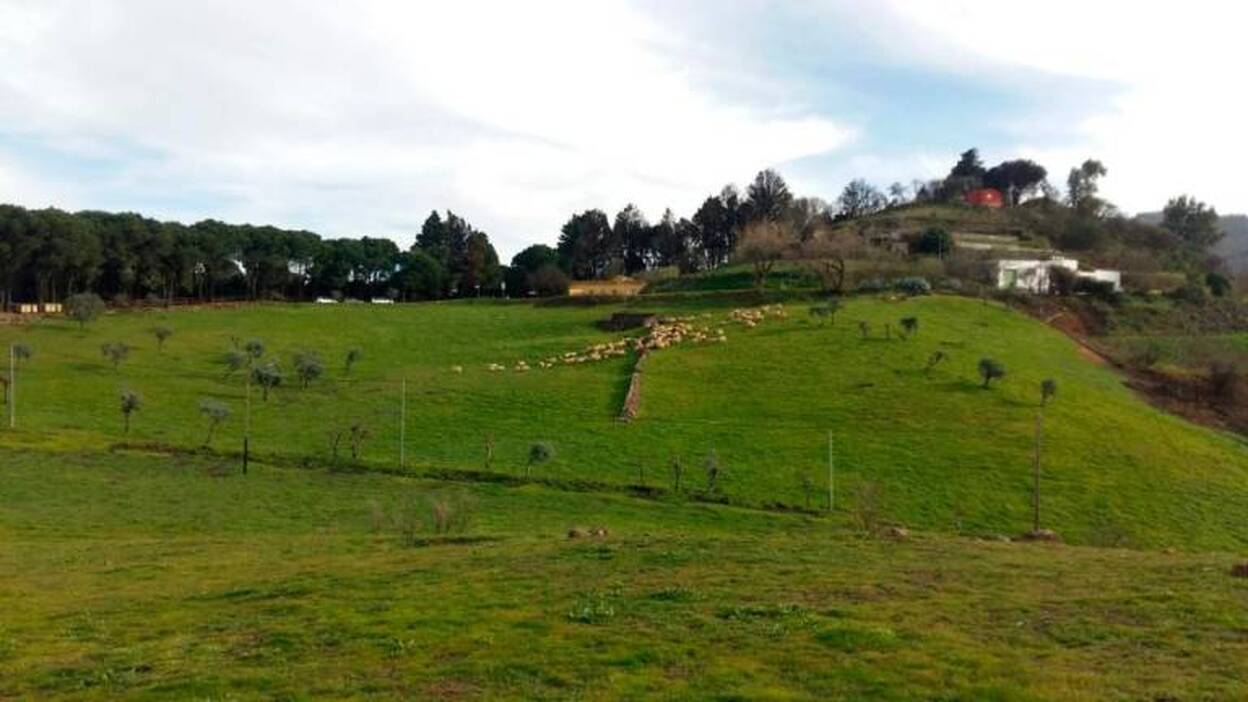 Altos de Guía, ruta de ensueño