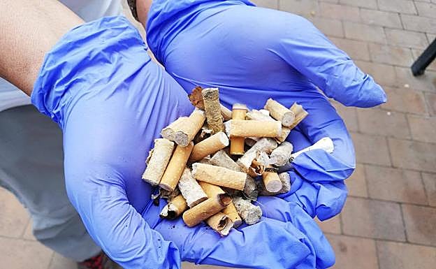 Colillas recogidas en San Andrés