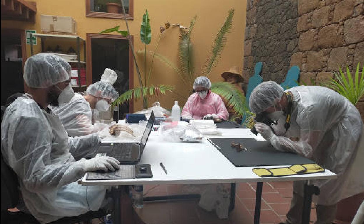 Estudian muestras antropológicas para tener datos genéticos de los bimbaches