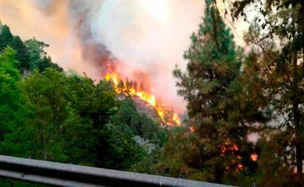Alerta por riesgo de incendios forestales en Gran Canaria