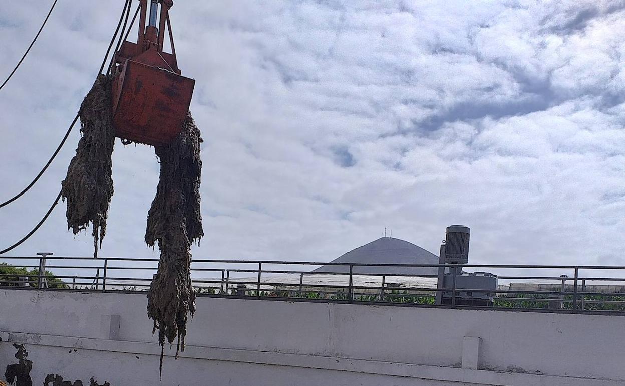 Retirada de restos de toallitas