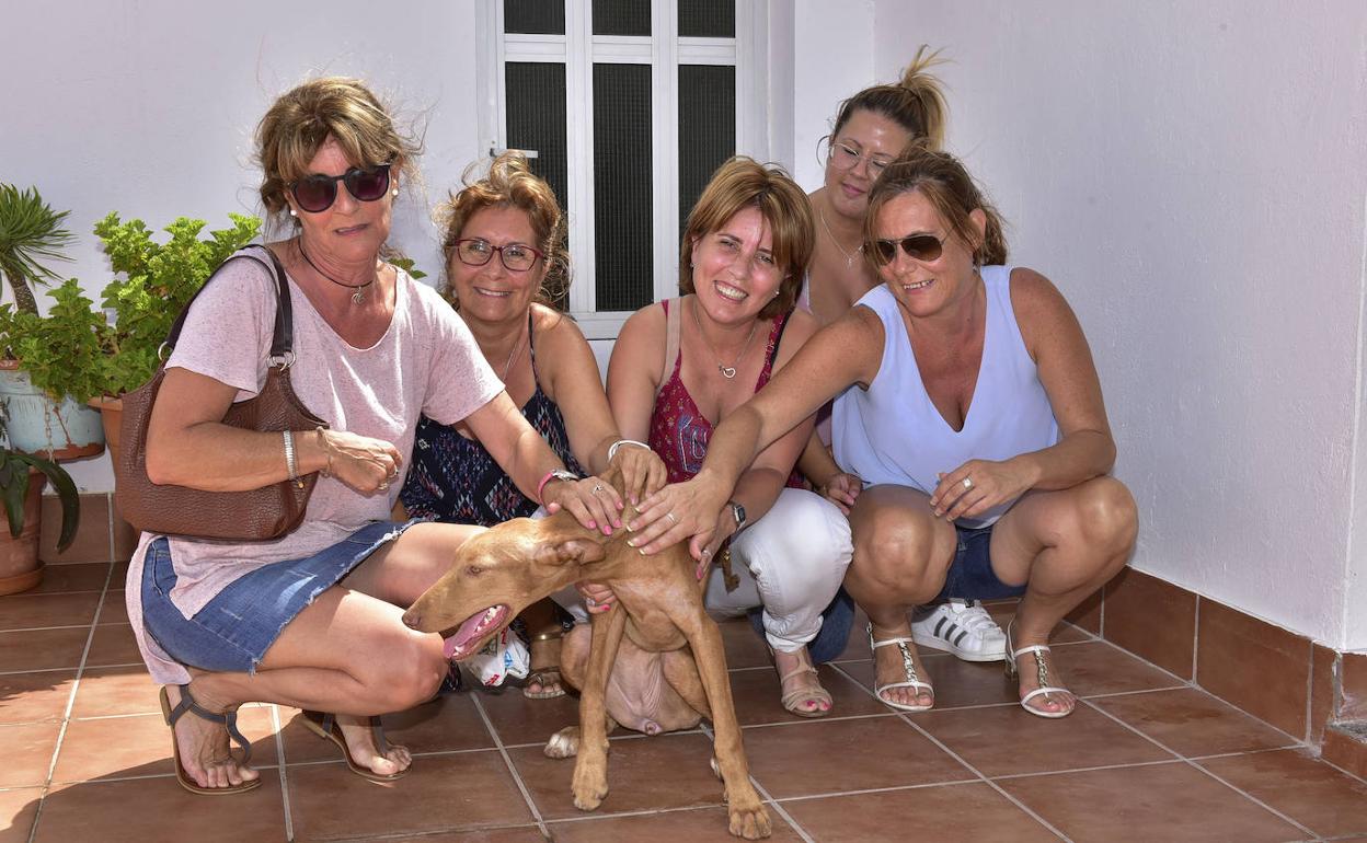 Miriam Quesada: «Queremos una cría de Canaria, ha sido como un ángel para nosotras»