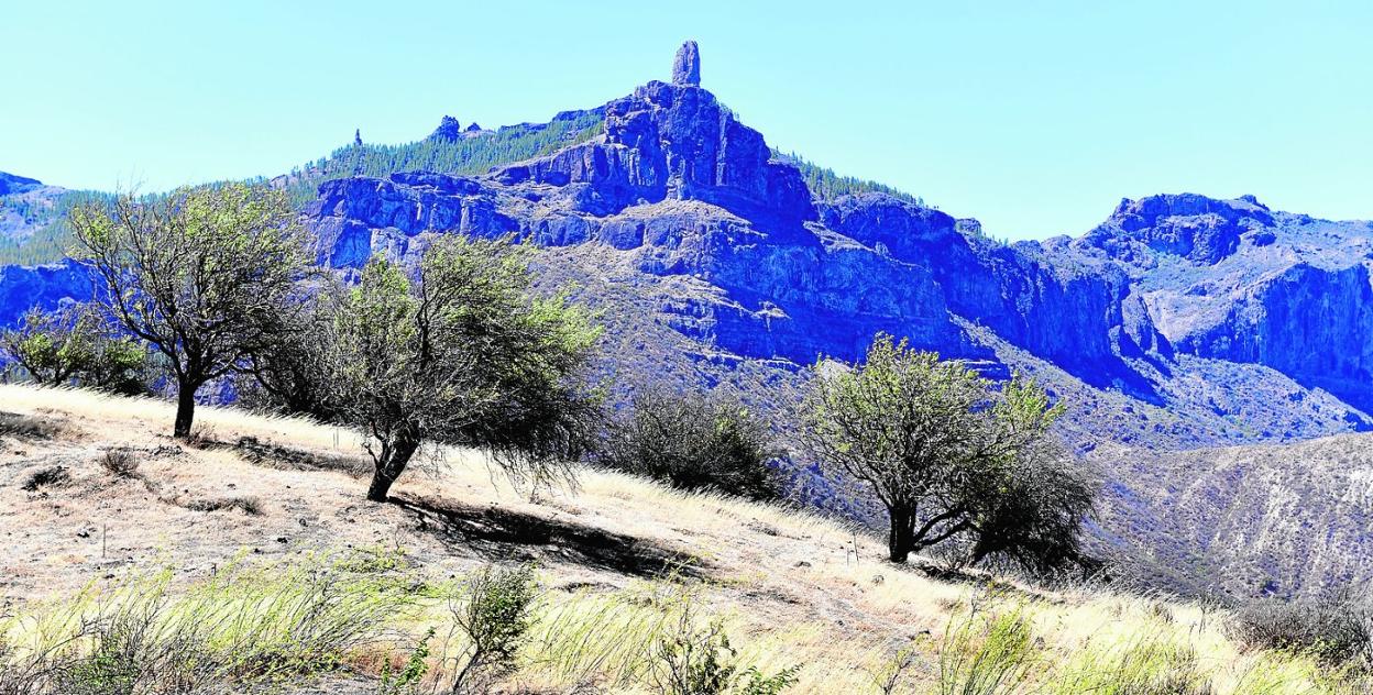Vista de las cumbres de la isla, que se enfrentarán estos proximos días a una ola de calor, con el Roque Nublo al fondo. 