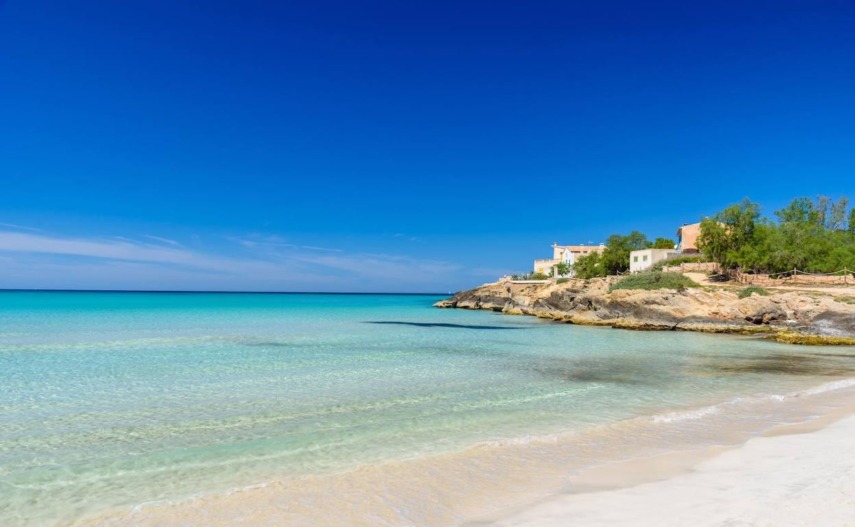 Playa de Mallorca 