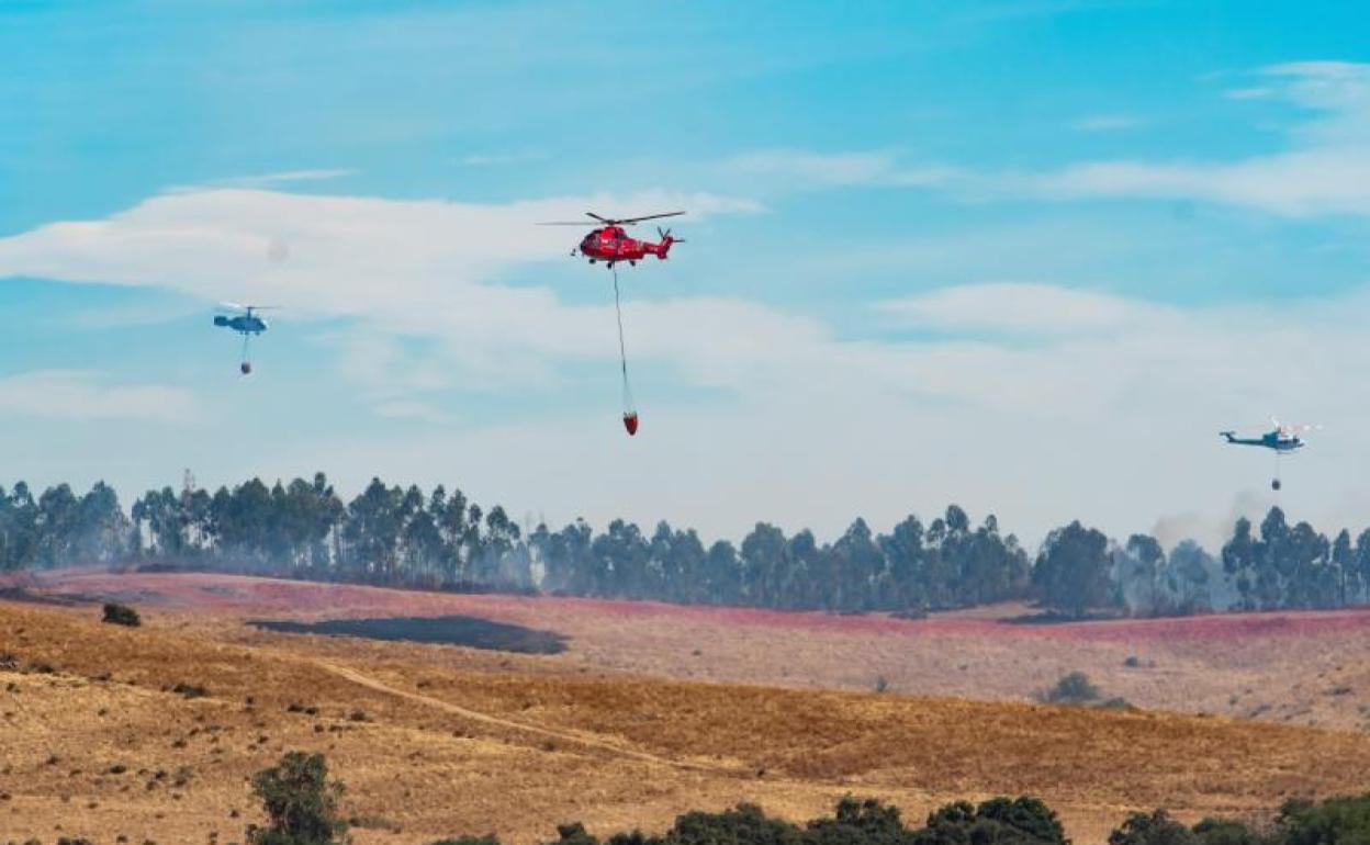 Los servicios de emergencias trabajando en la extinción del incendio forestal de Almonaster. 