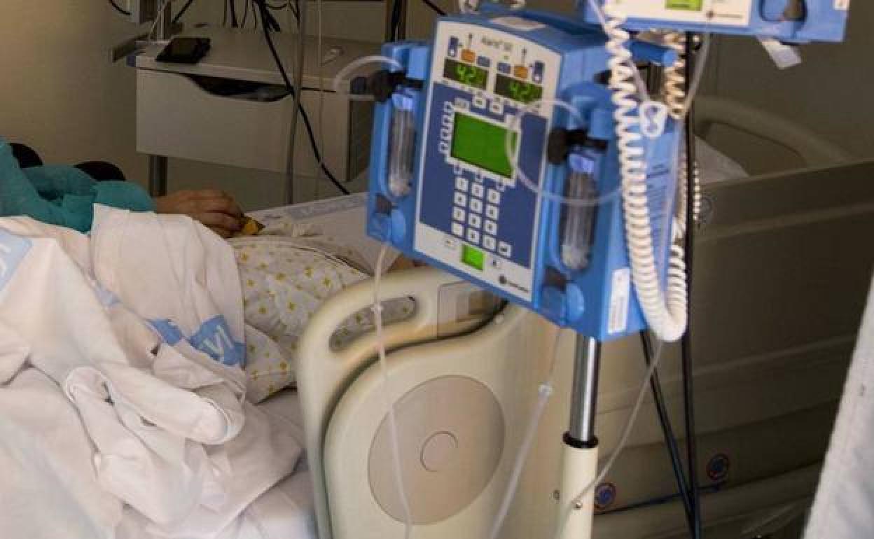 Un centenar de juristas piden al Congreso paralizar la Ley de la Eutanasia