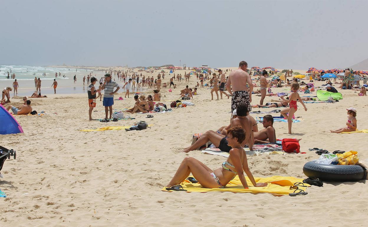 Imagen de una playa en Fuerteventura. JAVIER MELIÁN (ACFI PRESS)