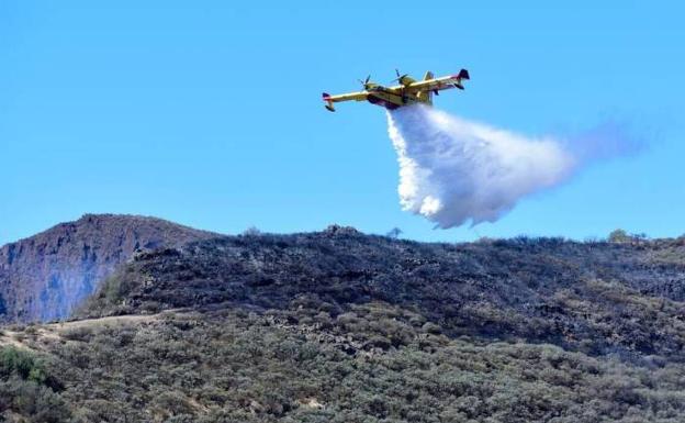 El Senado acepta una base de hidroaviones en verano en Canarias