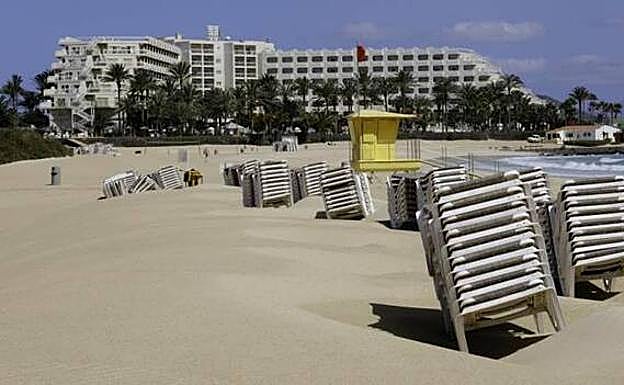 Hamacas en las Grandes Playas de Corralejo. 