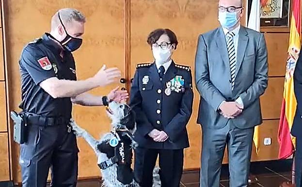 Imagen del acto en que varios agentes recibieron sus medallas al mérito policial y en el que también se condecoró al perro 'Bull'. 