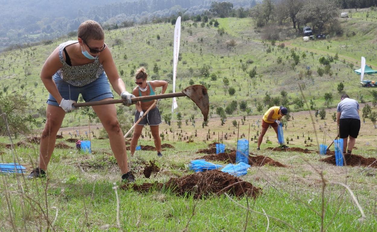 Participantes de la ARC participan en la plantación. 