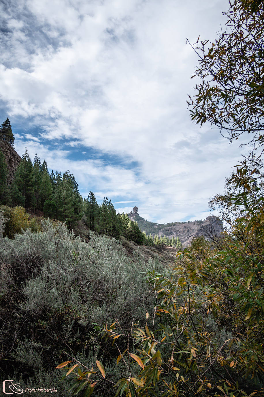 Fotos: Un rincón donde disfrutar de la naturaleza
