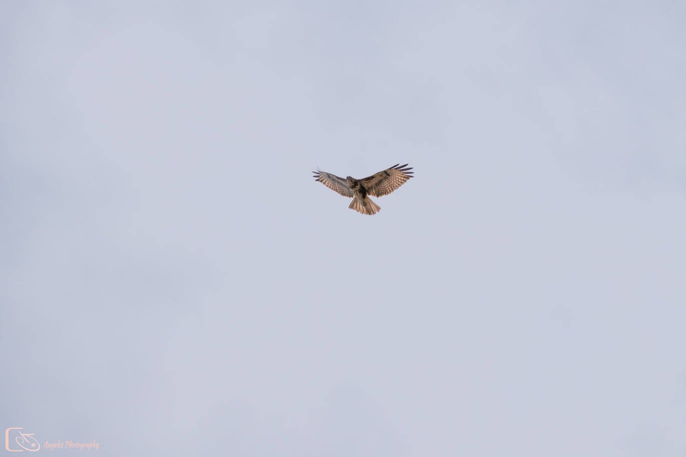 Fotos: Un rincón donde disfrutar de la naturaleza