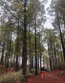 Imagen secundaria 2 - Finaliza la etapa del segundo fin de semana del Camino de Los Valores 2020