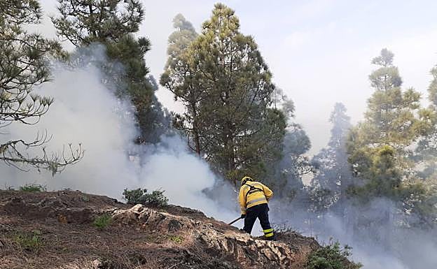 Imagen del lugar donde se ha originado el conato. 