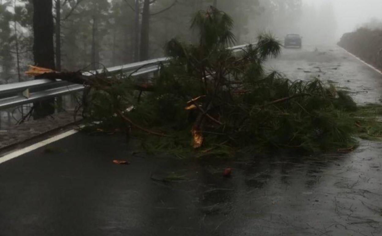 Filomena deja desprendimientos en la carretera entre Temisas y Santa Lucía