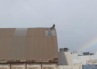 Imagen secundaria 1 - El temporal &#039;Filomena&#039; empieza a tener sus repercusiones en Ingenio