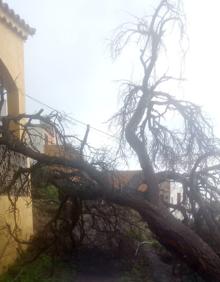 Imagen secundaria 2 - El temporal &#039;Filomena&#039; empieza a tener sus repercusiones en Ingenio